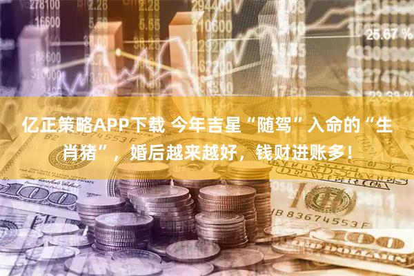 亿正策略APP下载 今年吉星“随驾”入命的“生肖猪”,婚后越来越好,钱财进账多!