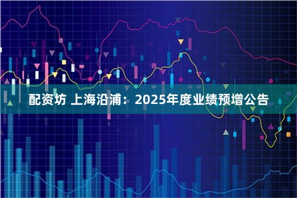 配资坊 上海沿浦：2025年度业绩预增公告